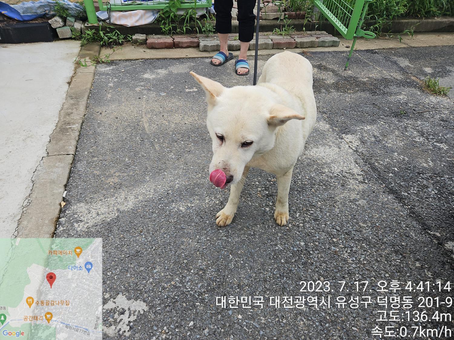 대전동물보호센터_430367202300420