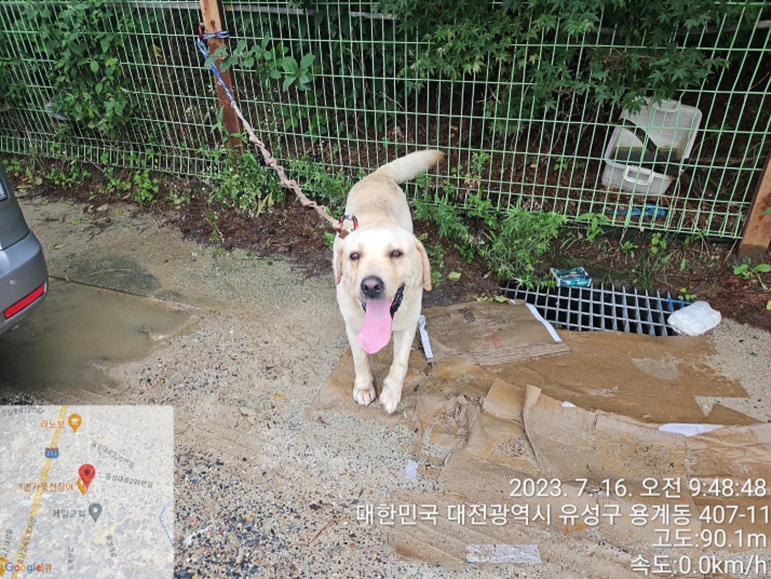 대전동물보호센터_430367202300418