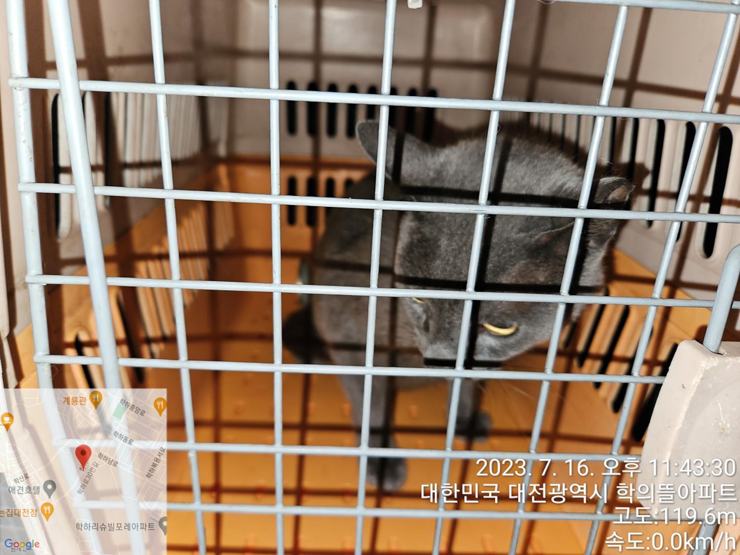 대전동물보호센터_430367202300419