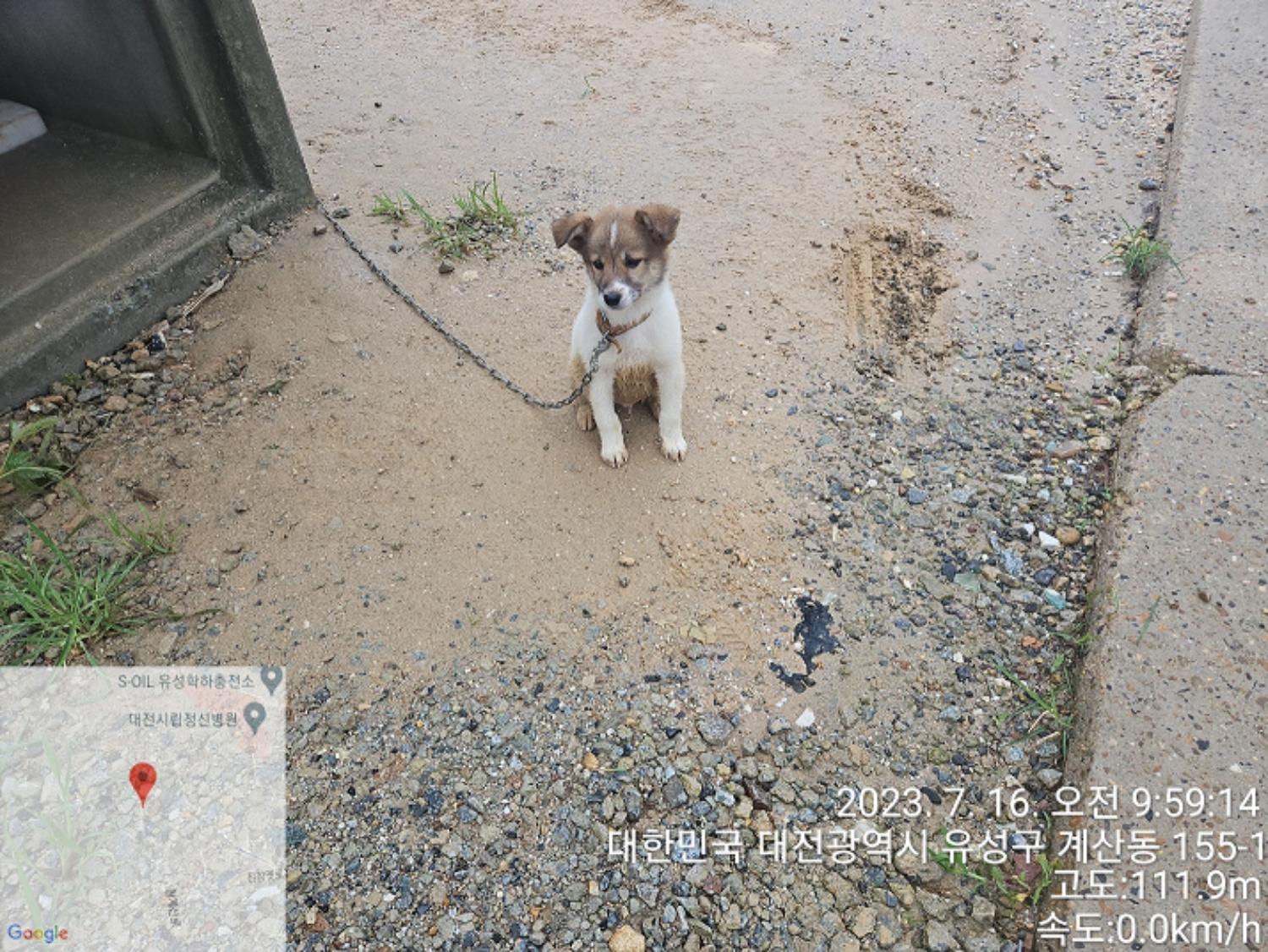 대전동물보호센터_430367202300417