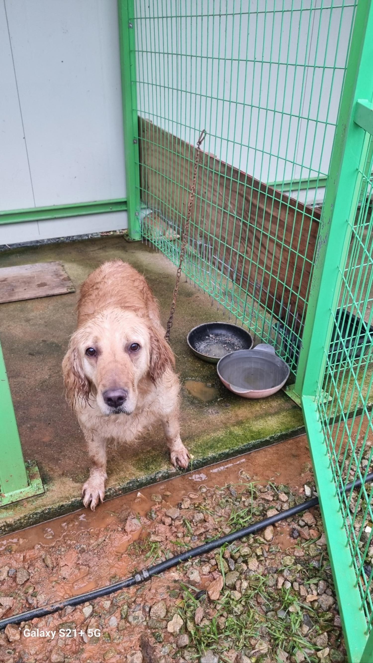 전북말산업복합센터_445471202300182