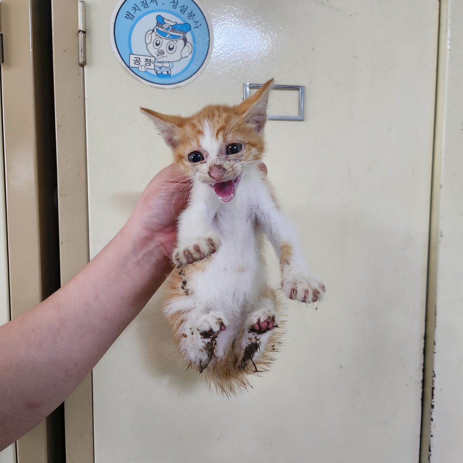 부산동물보호센터_426332202300388