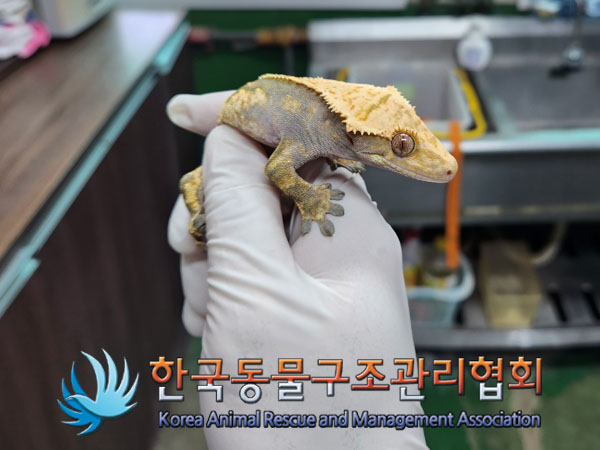 한국동물구조관리협회_441559202300779