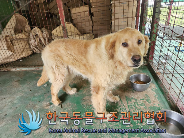 한국동물구조관리협회_441406202301048