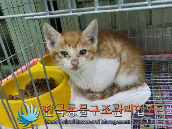 한국동물구조관리협회_441406202301047