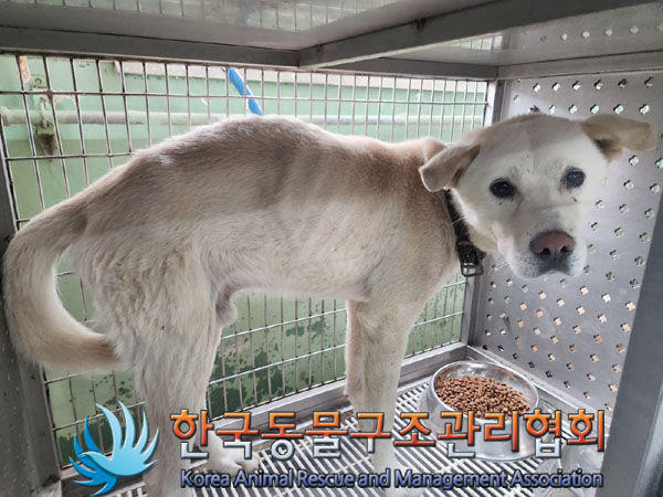 한국동물구조관리협회_441559202300783