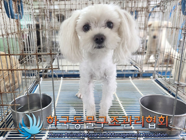 한국동물구조관리협회_441392202300150