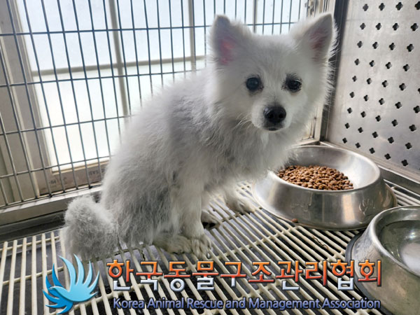 한국동물구조관리협회_441392202300151