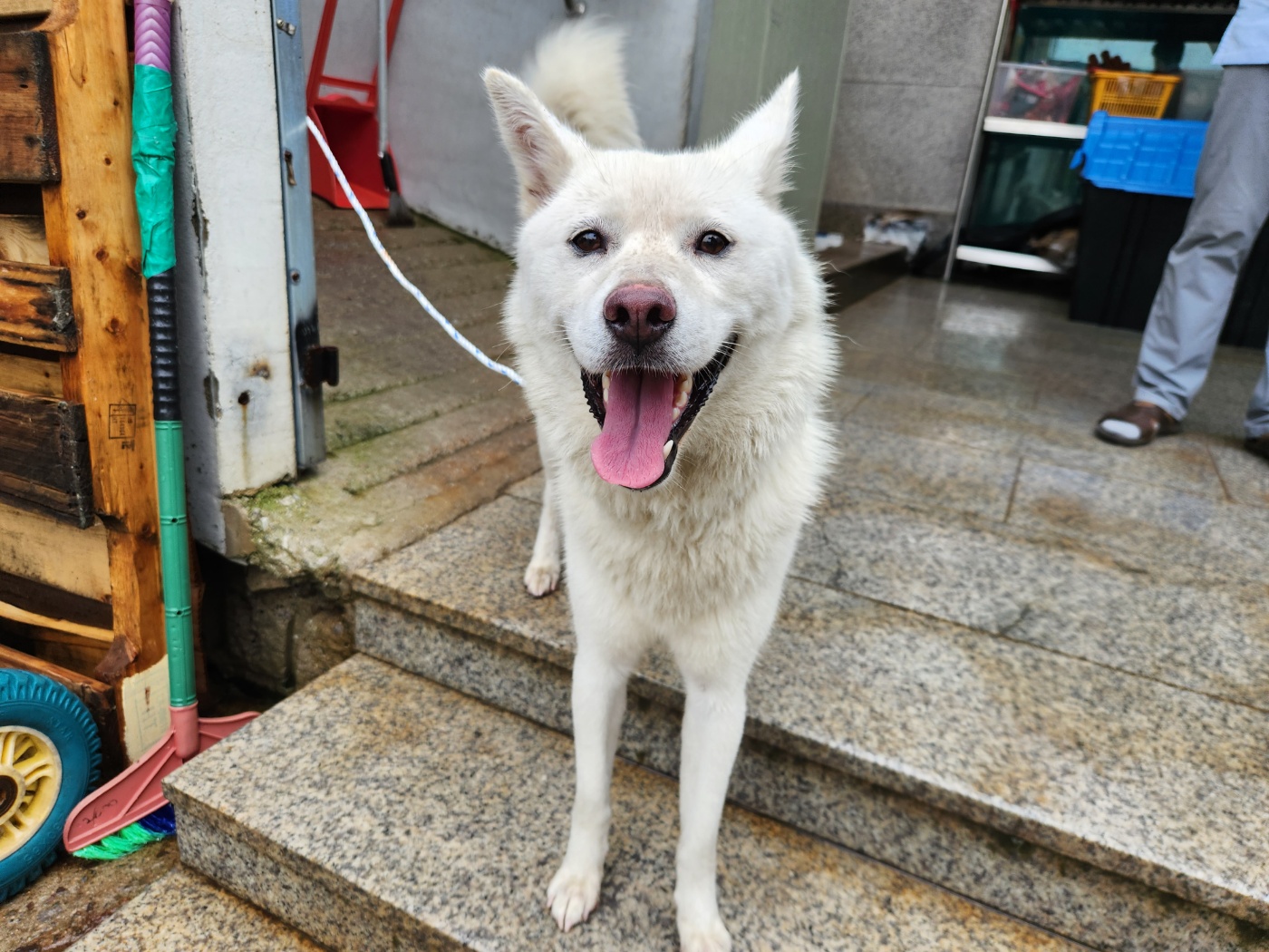 광주 동물보호소_429362202300615