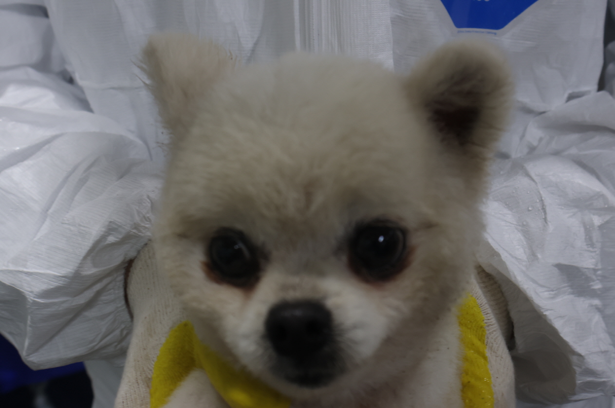 제주 동물보호센터_450650202302478