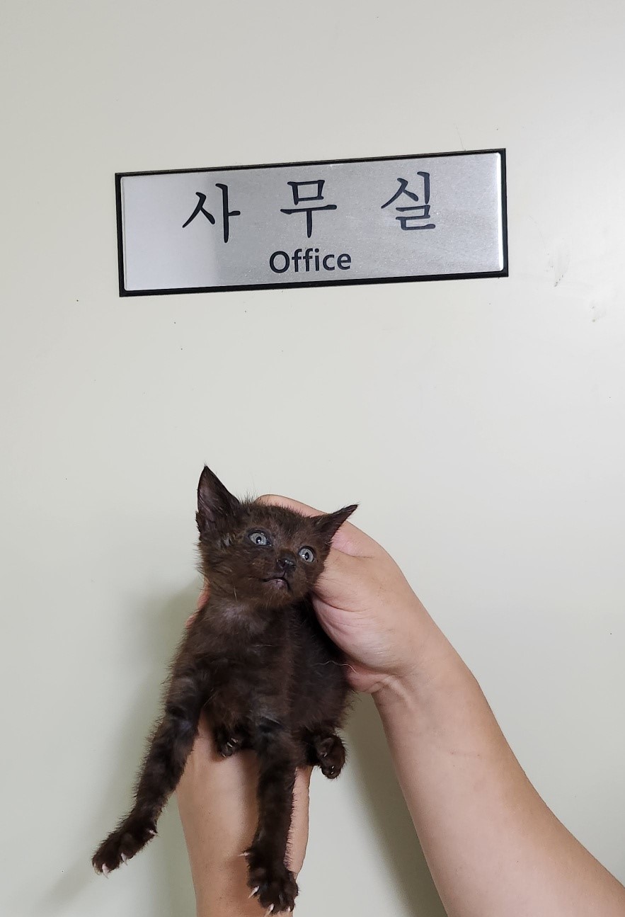 부산동물보호센터_426325202300252