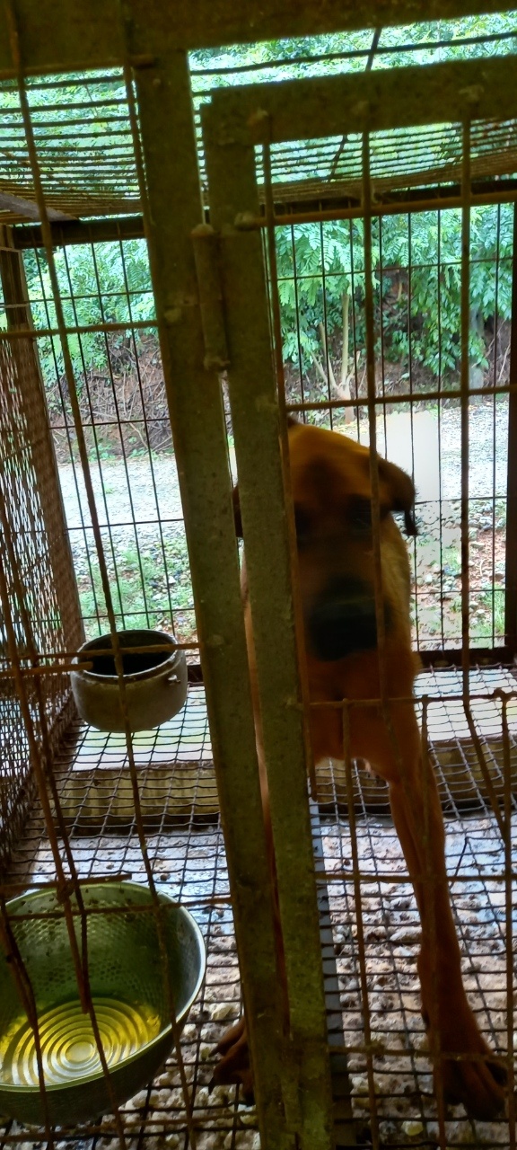 정읍시 동물보호소_445469202300955