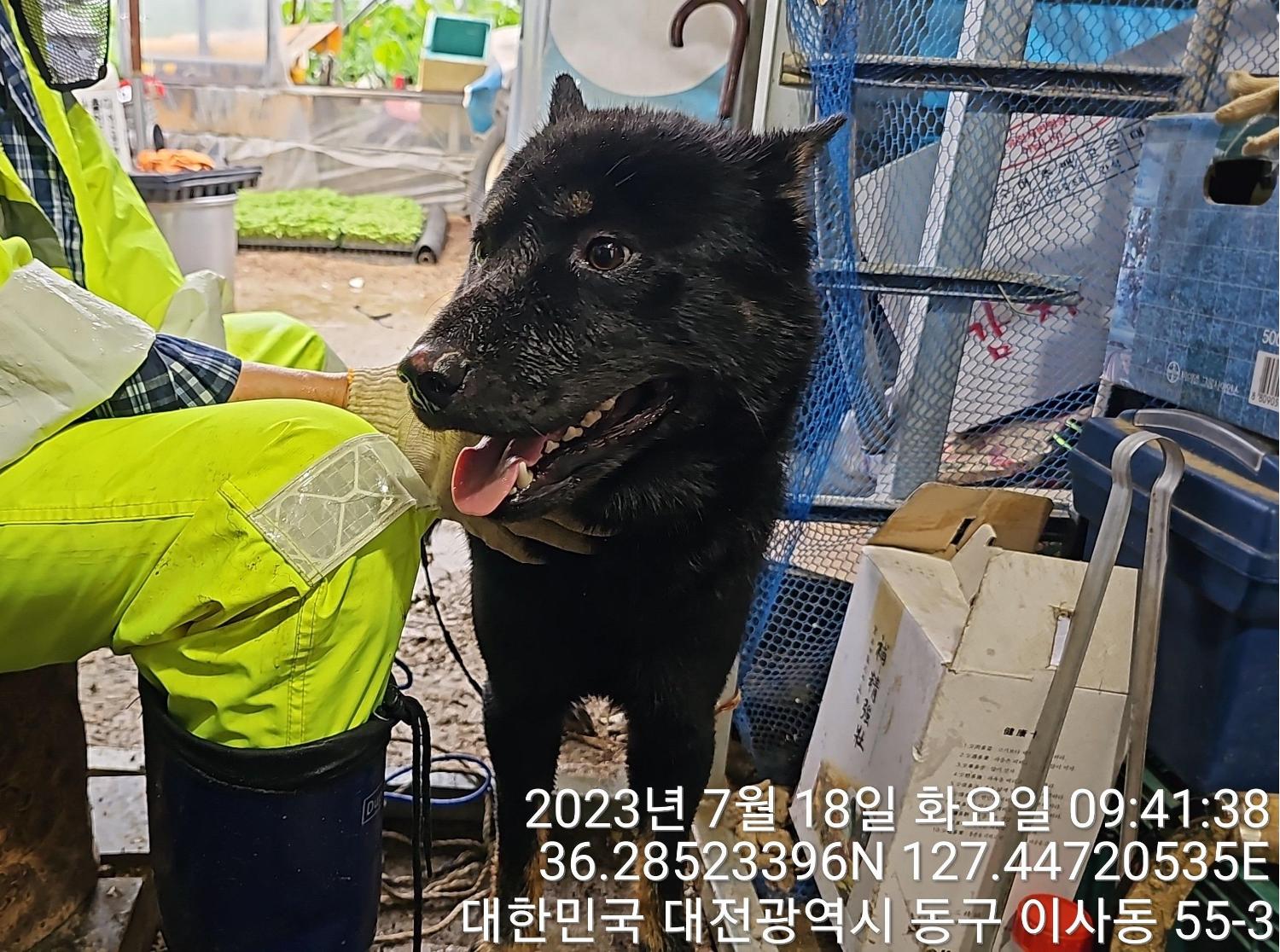 대전동물보호센터_430364202300230
