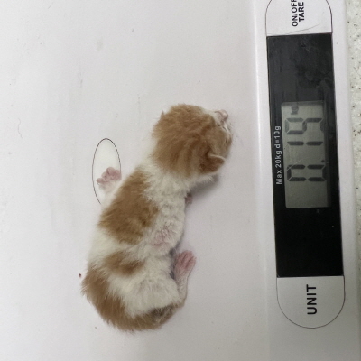누리동물병원_426331202300215