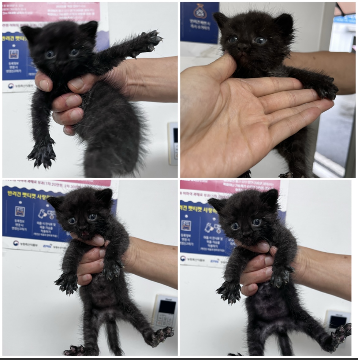 종료(자연사) 한국…