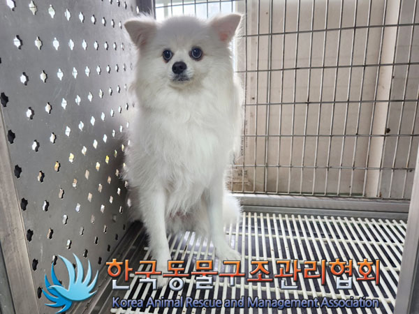 한국동물구조관리협회_441409202301166