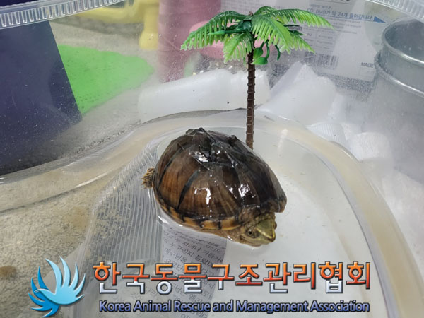 한국동물구조관리협회_411304202300468