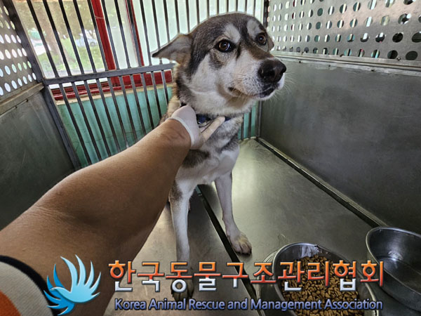 한국동물구조관리협회_441559202300790