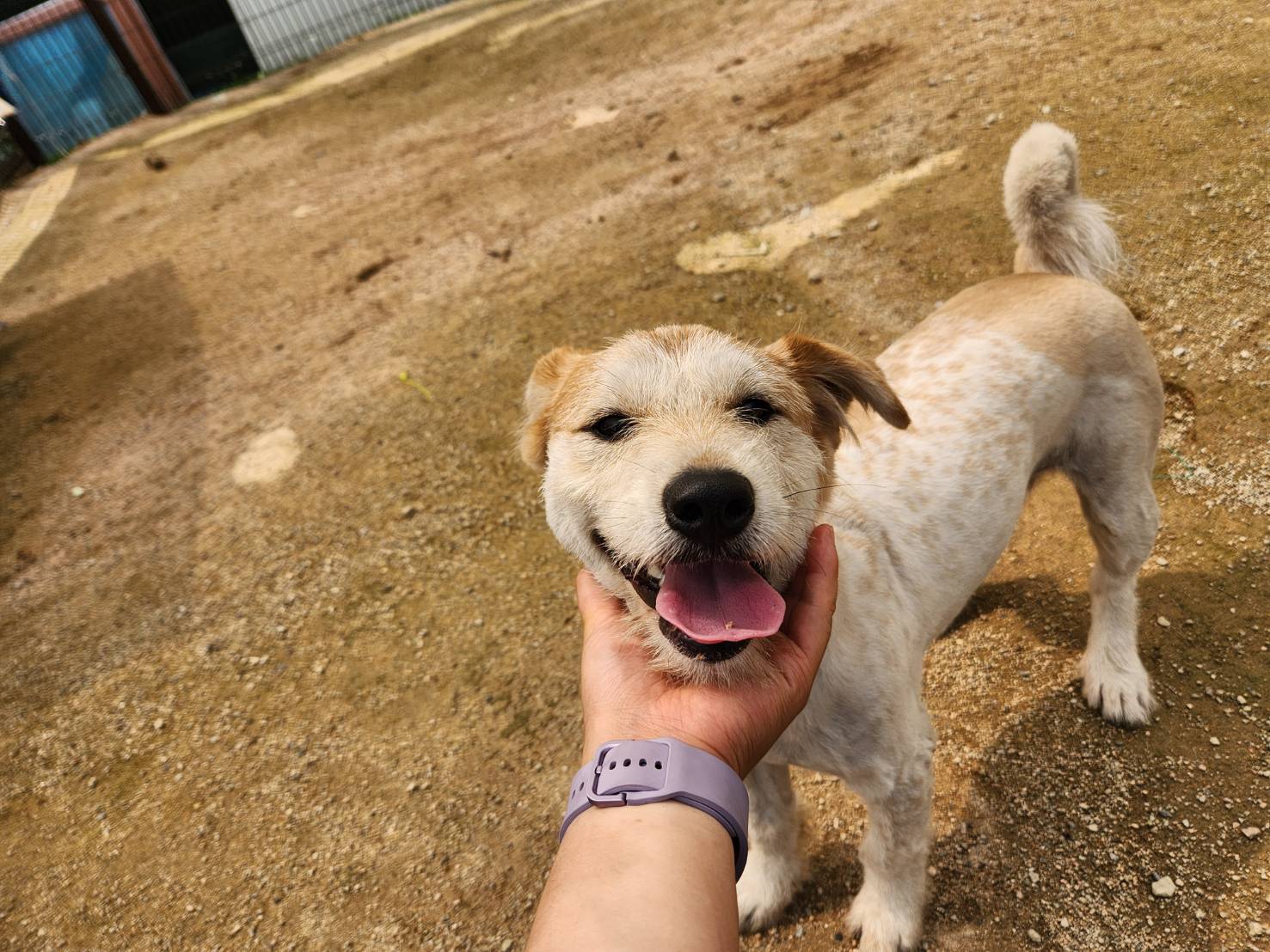 한국야생동물보호협회_441393202301336