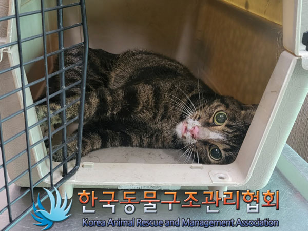 종료(자연사) 한국…
