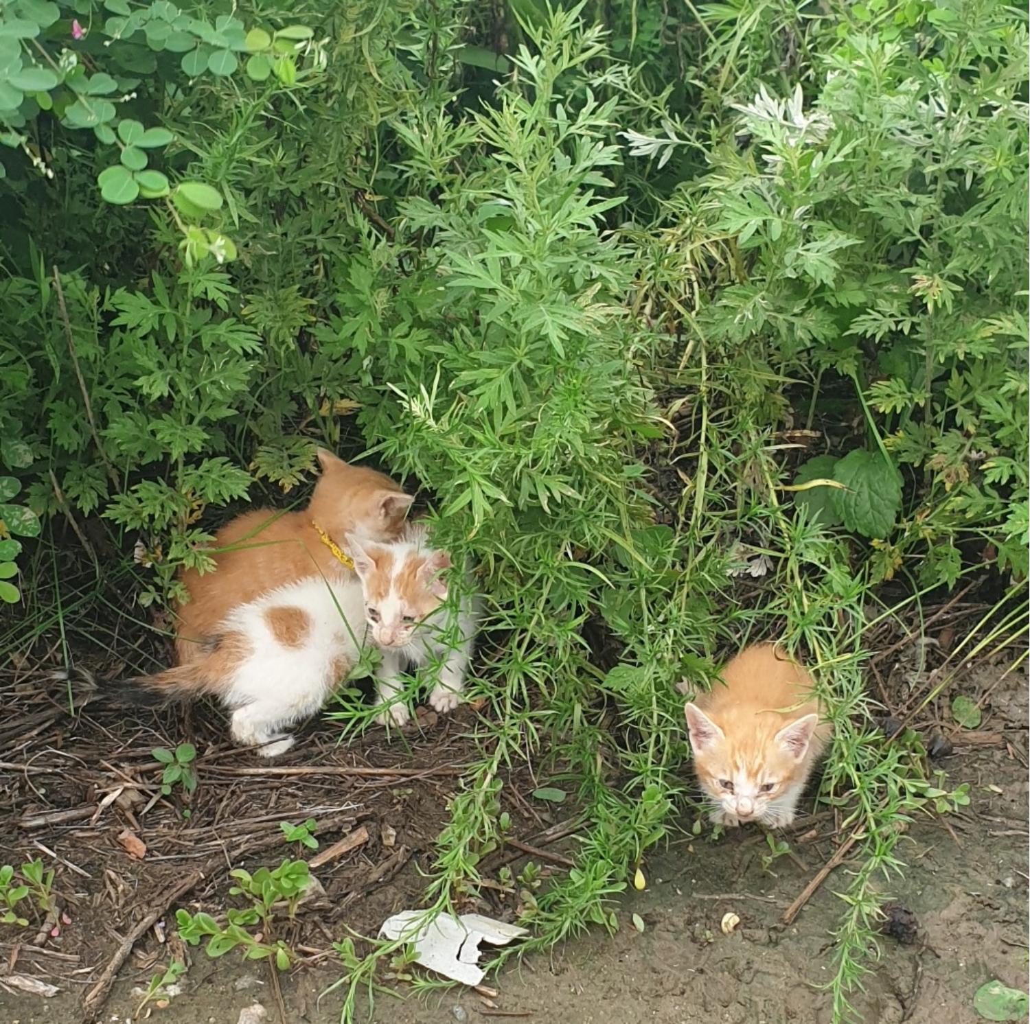 베스트동물병원_428357202300689