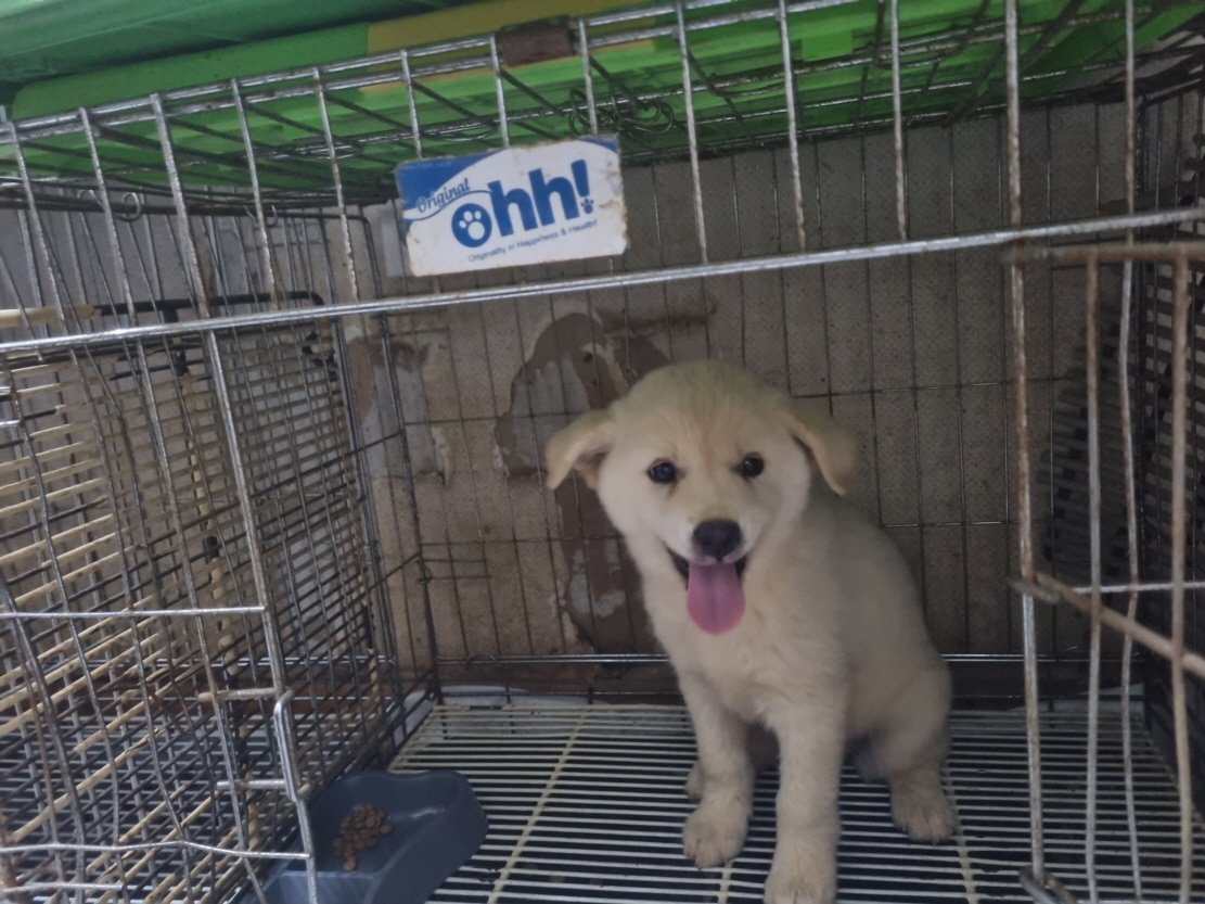 프렌즈동물병원_445464202302563
