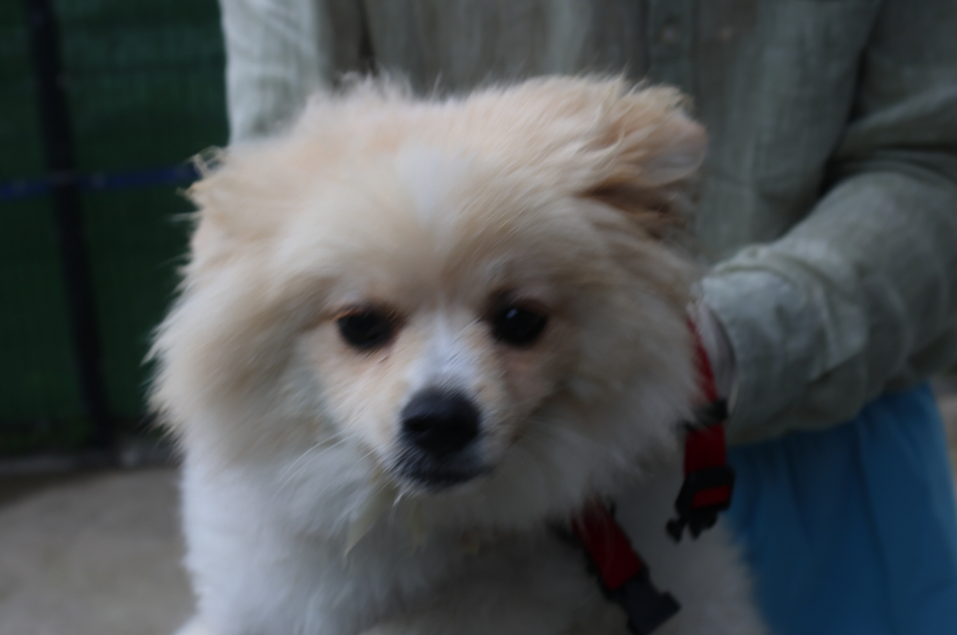 제주 동물보호센터_450650202302495