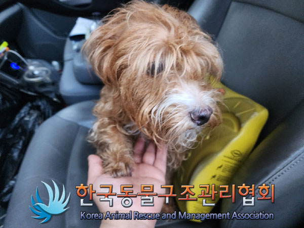 한국동물구조관리협회_411315202300478