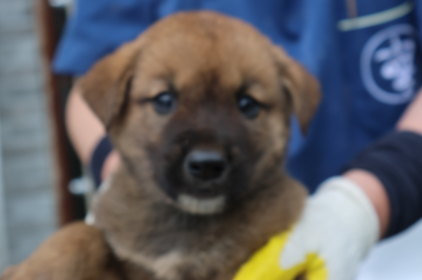 제주 동물보호센터_450650202302489