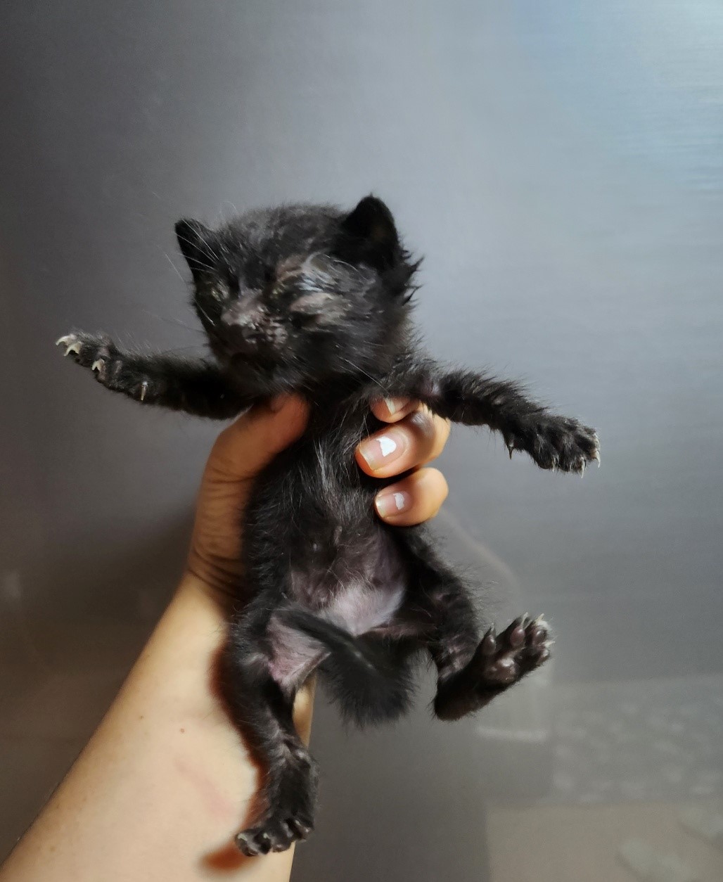 울산유기동물보호센터_431373202300767