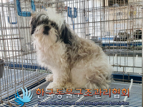 한국동물구조관리협회_411304202300470