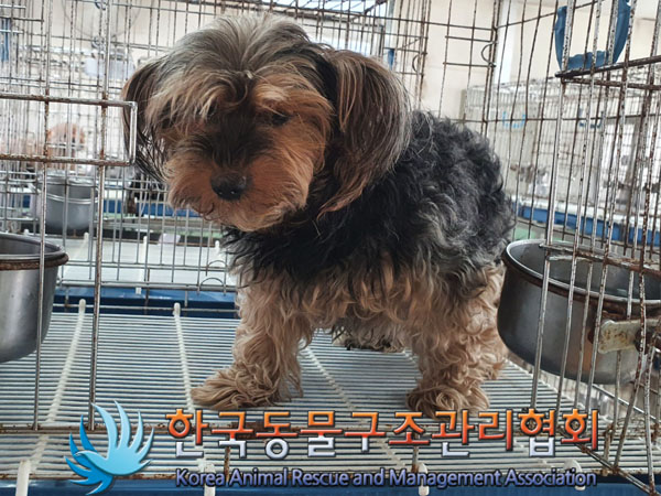 한국동물구조관리협회_411323202300710