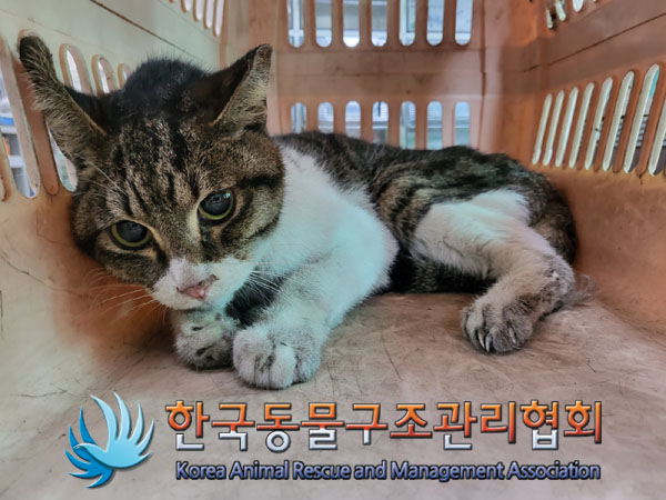 한국동물구조관리협회_411315202300481
