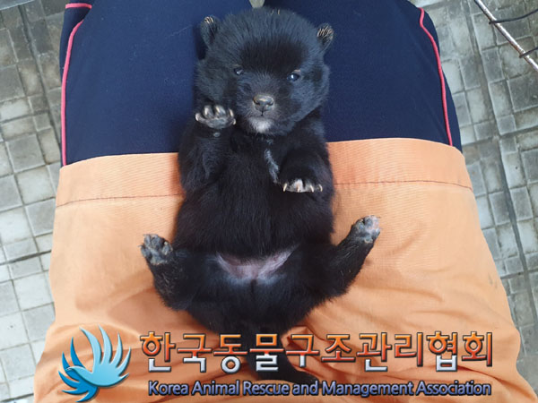종료(자연사) 믹스…