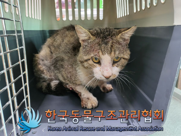 한국동물구조관리협회_441414202300547