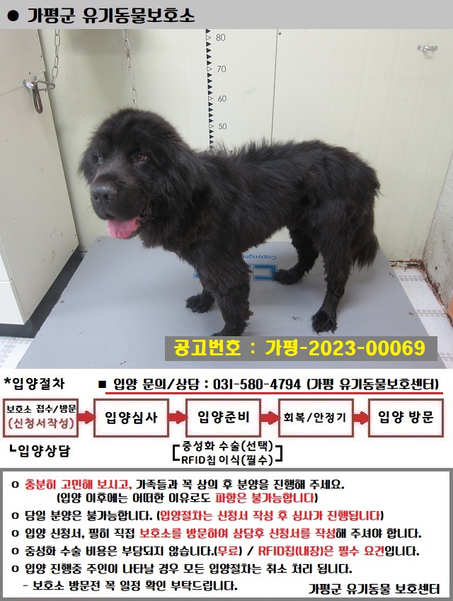 가평군유기동물보호소_441416202300302