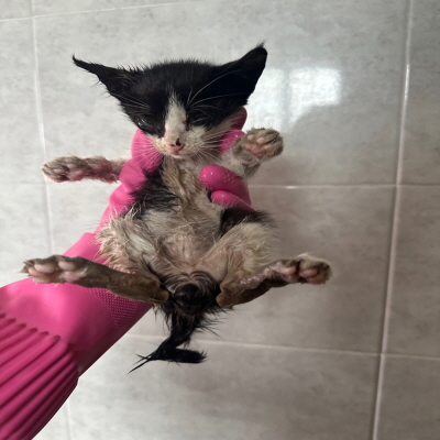 누리동물병원_426333202300565