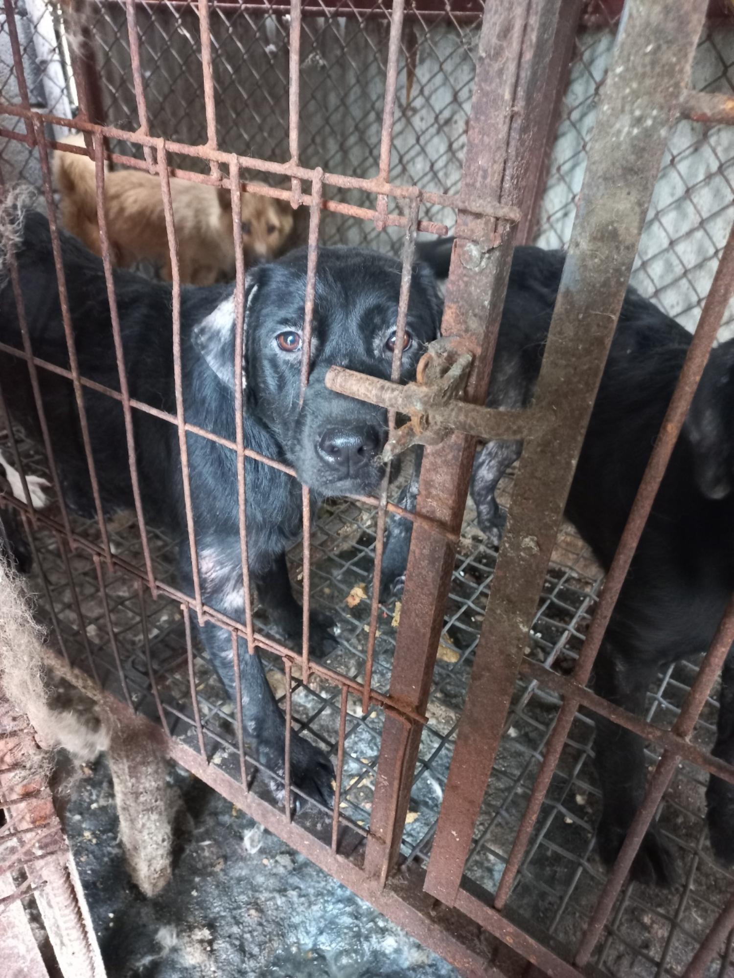 완주군유기동물보호소_445472202300222