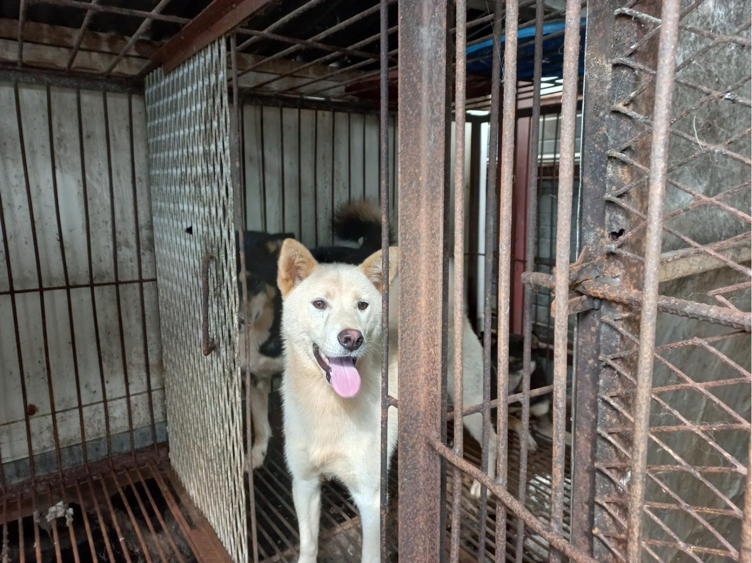 완주군유기동물보호소_445472202300257
