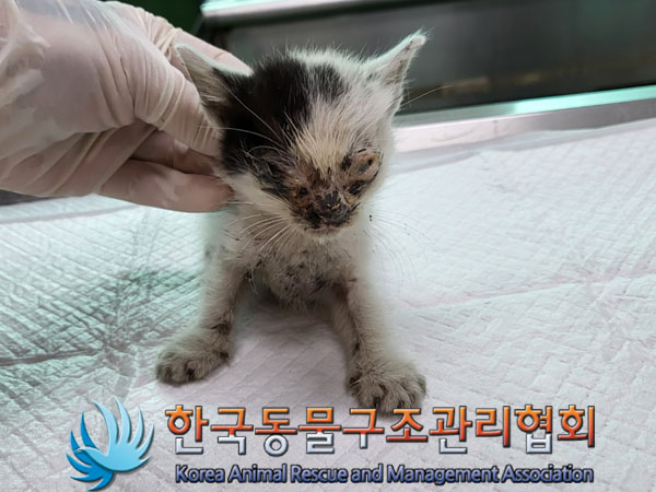 종료(자연사) 한국…