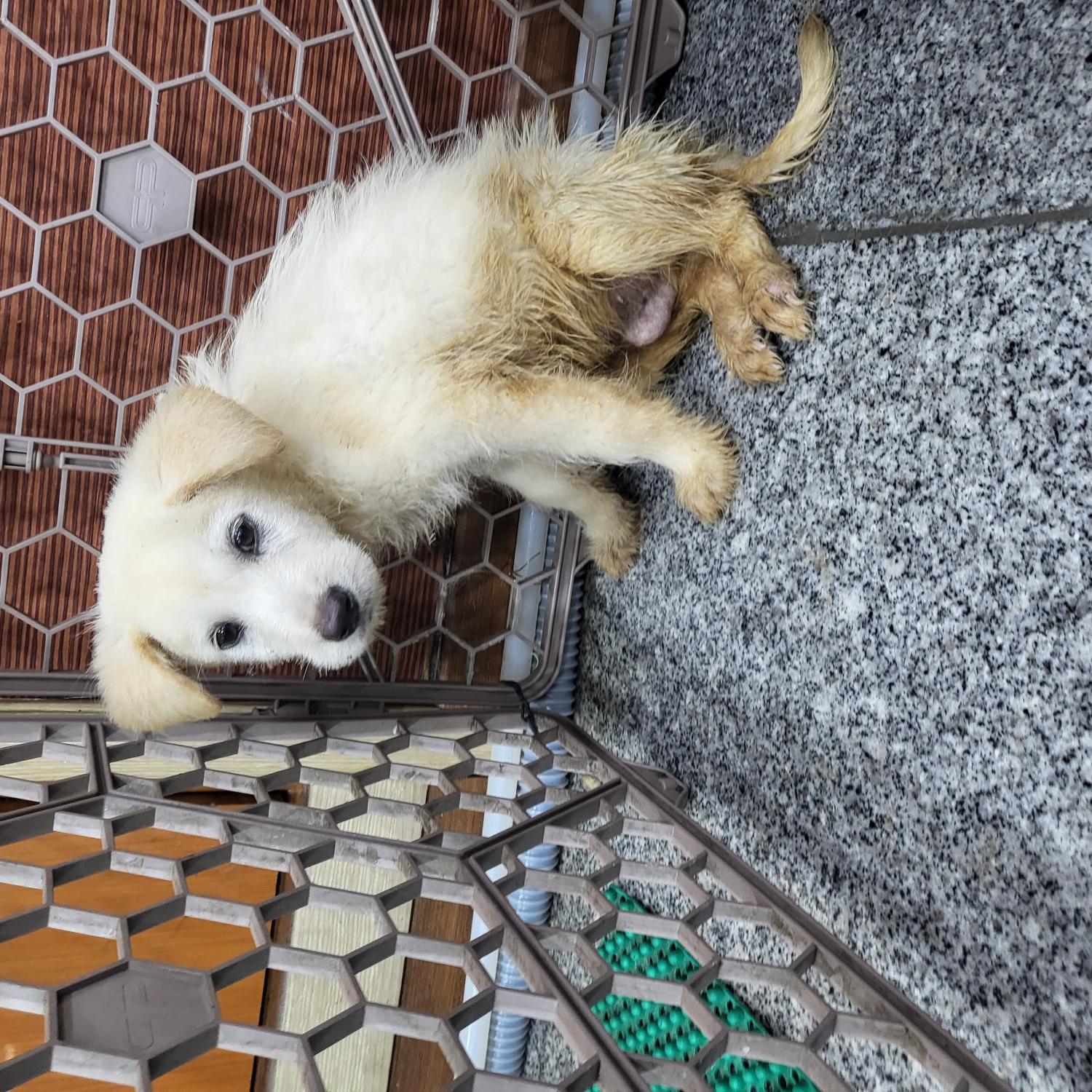금강동물병원_427346202300873