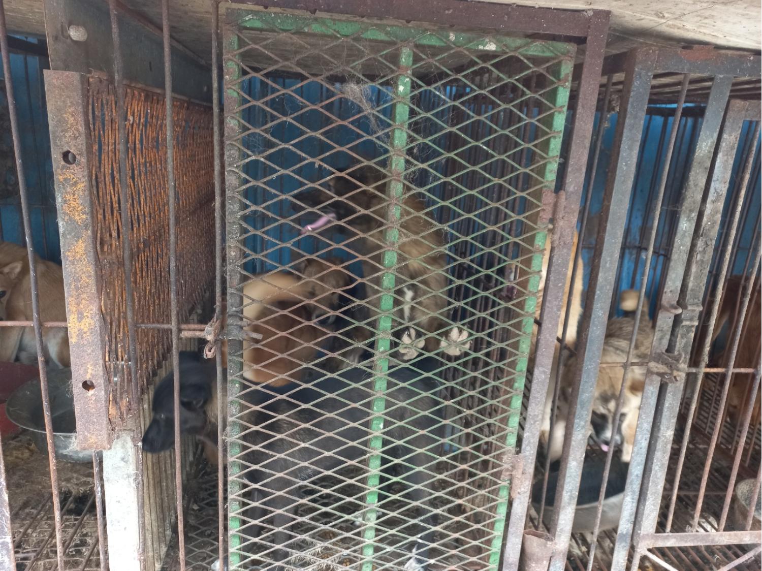 완주군유기동물보호소_445472202300265