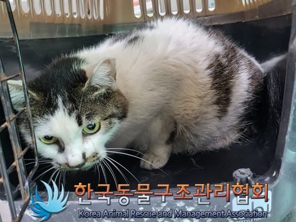 한국동물구조관리협회_411307202300262