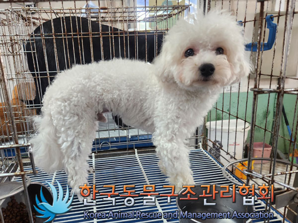 한국동물구조관리협회_441559202300793
