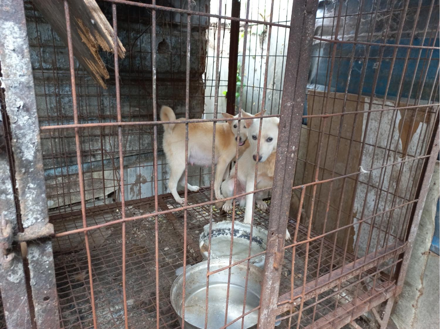 완주군유기동물보호소_445472202300281