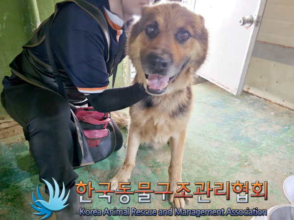 한국동물구조관리협회_441398202300274