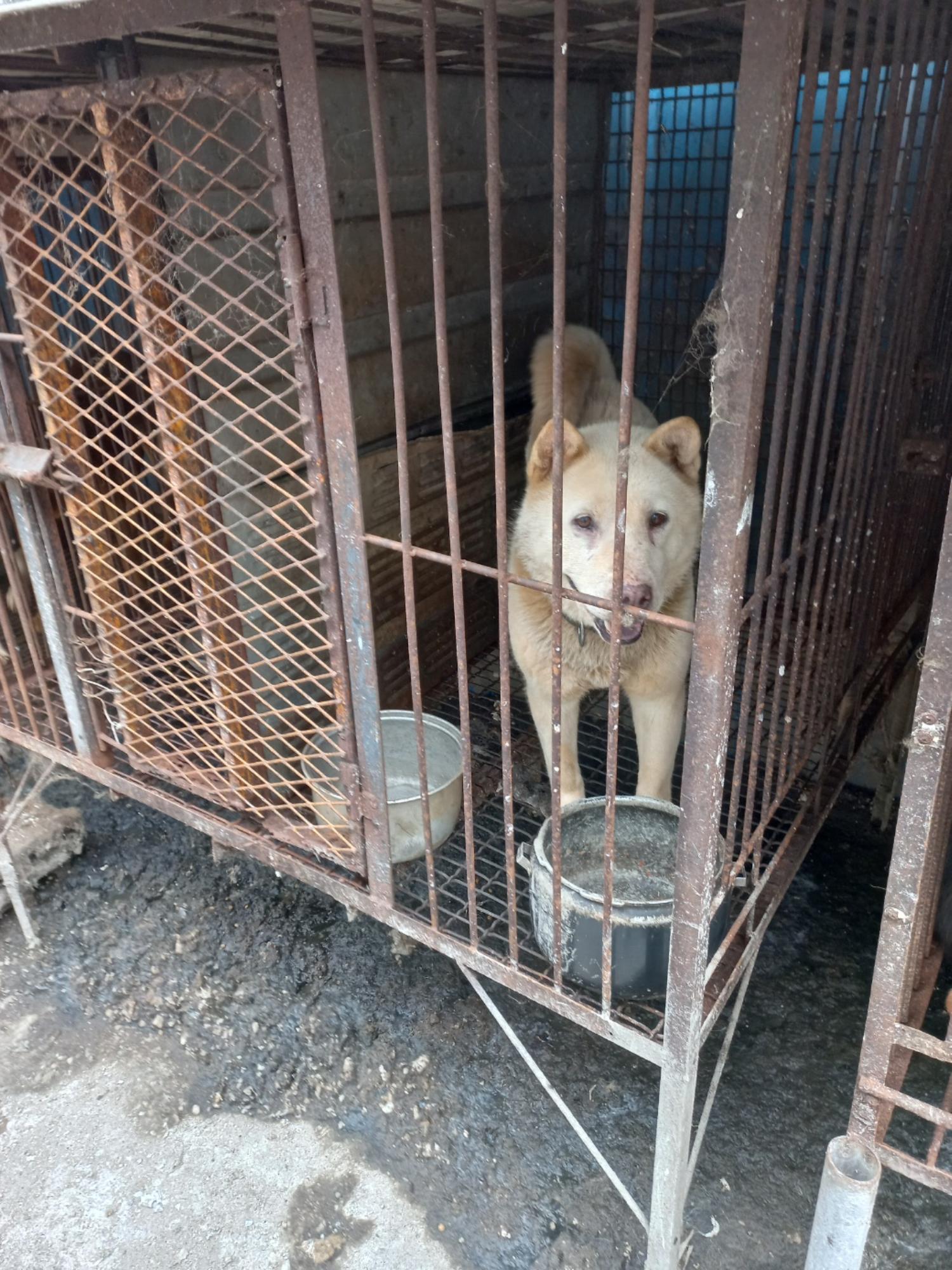 완주군유기동물보호소_445472202300277