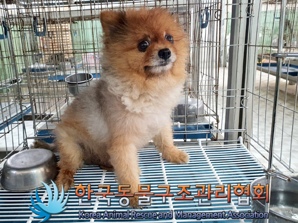 한국동물구조관리협회_411305202300382