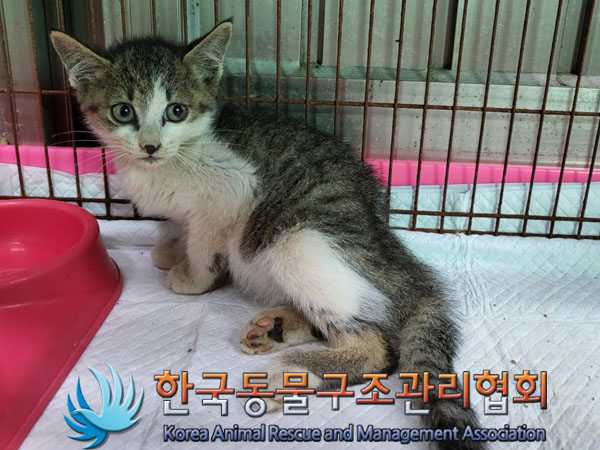 종료(자연사) 한국…