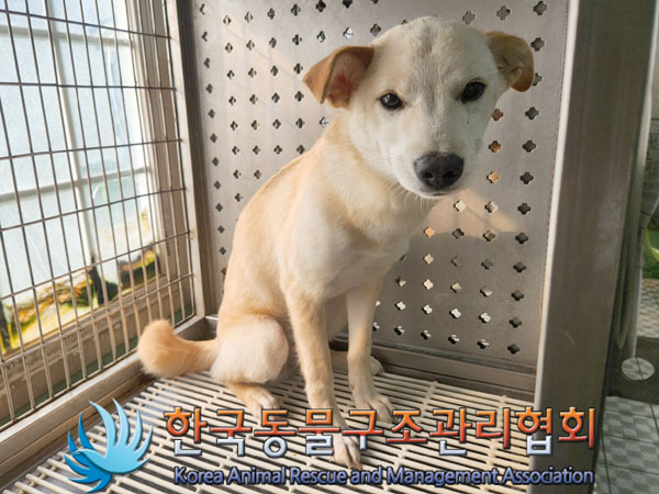 한국동물구조관리협회_441559202300794